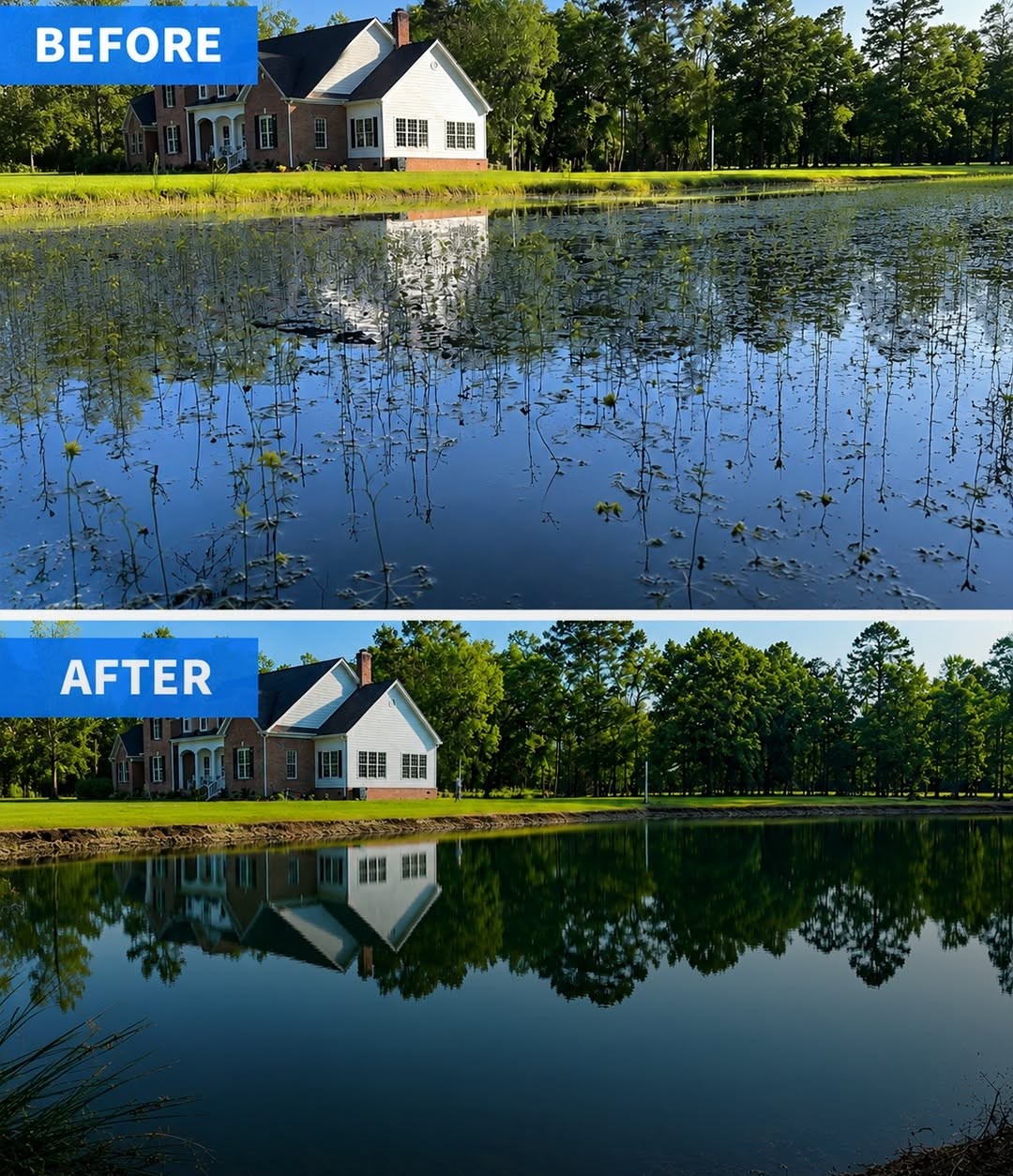 Full pond cleared