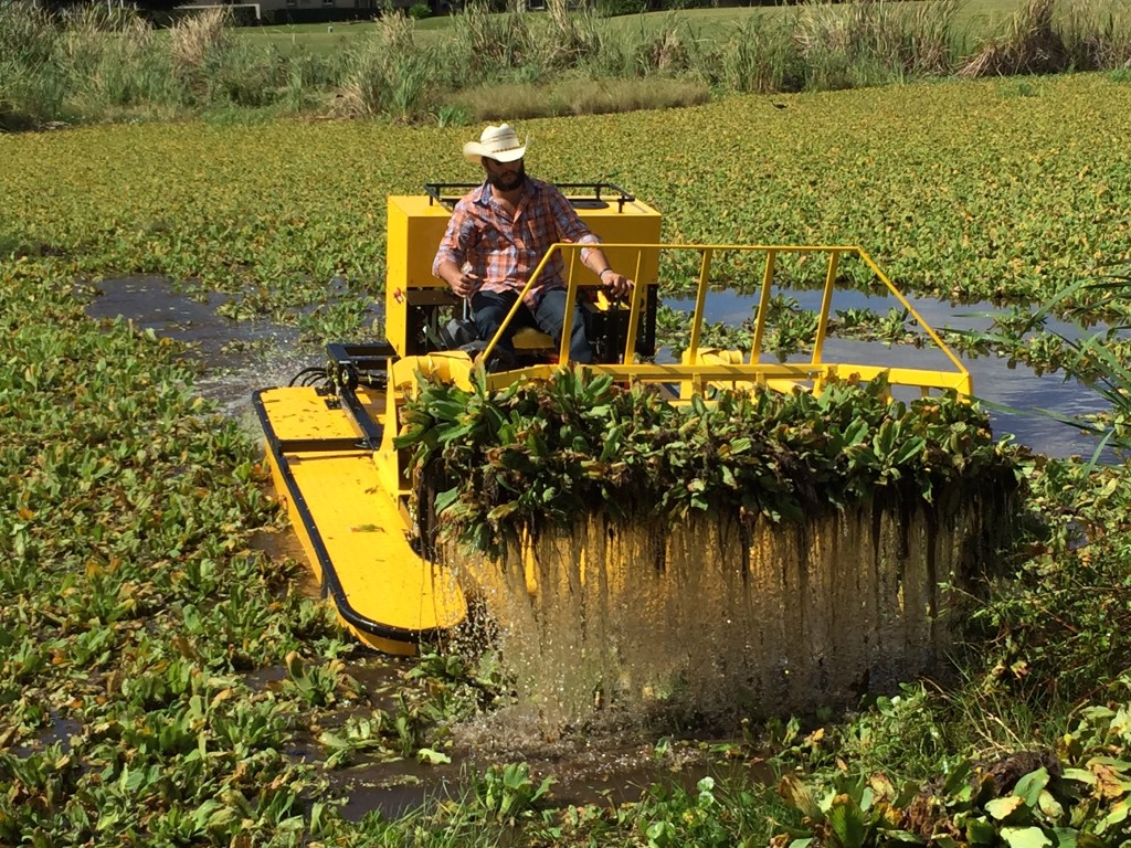 Dense vegetation being removed